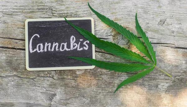 Best Dispensary Kansas City for Premium Cannabis Products