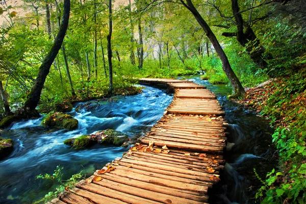 Custom Landscape Design Trends That Elevate Outdoor Spaces
