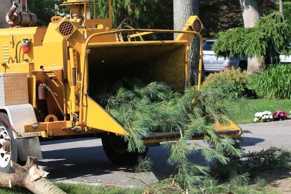 Fast Tree Service Madison for Storm Damaged Trees